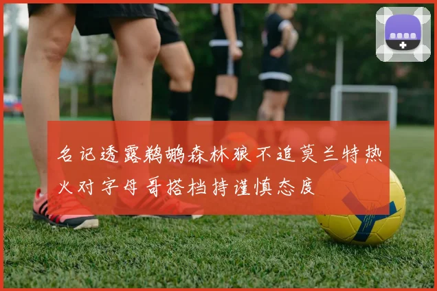 名记透露鹈鹕森林狼不追莫兰特热火对字母哥搭档持谨慎态度