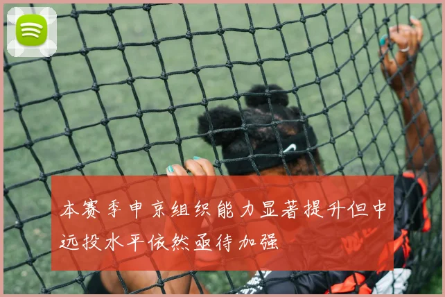 本赛季申京组织能力显著提升但中远投水平依然亟待加强